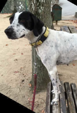 sign_2018-02-06-2319.jpg
