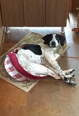 sign_2018-02-06-23416.jpg