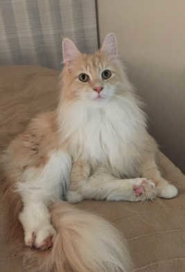 sign_2018-02-06-2316.jpg