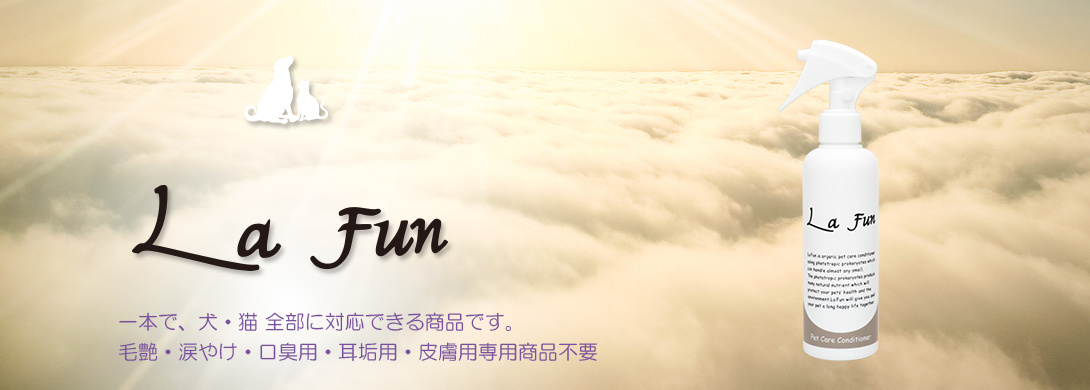 img20190517161653718068.jpg